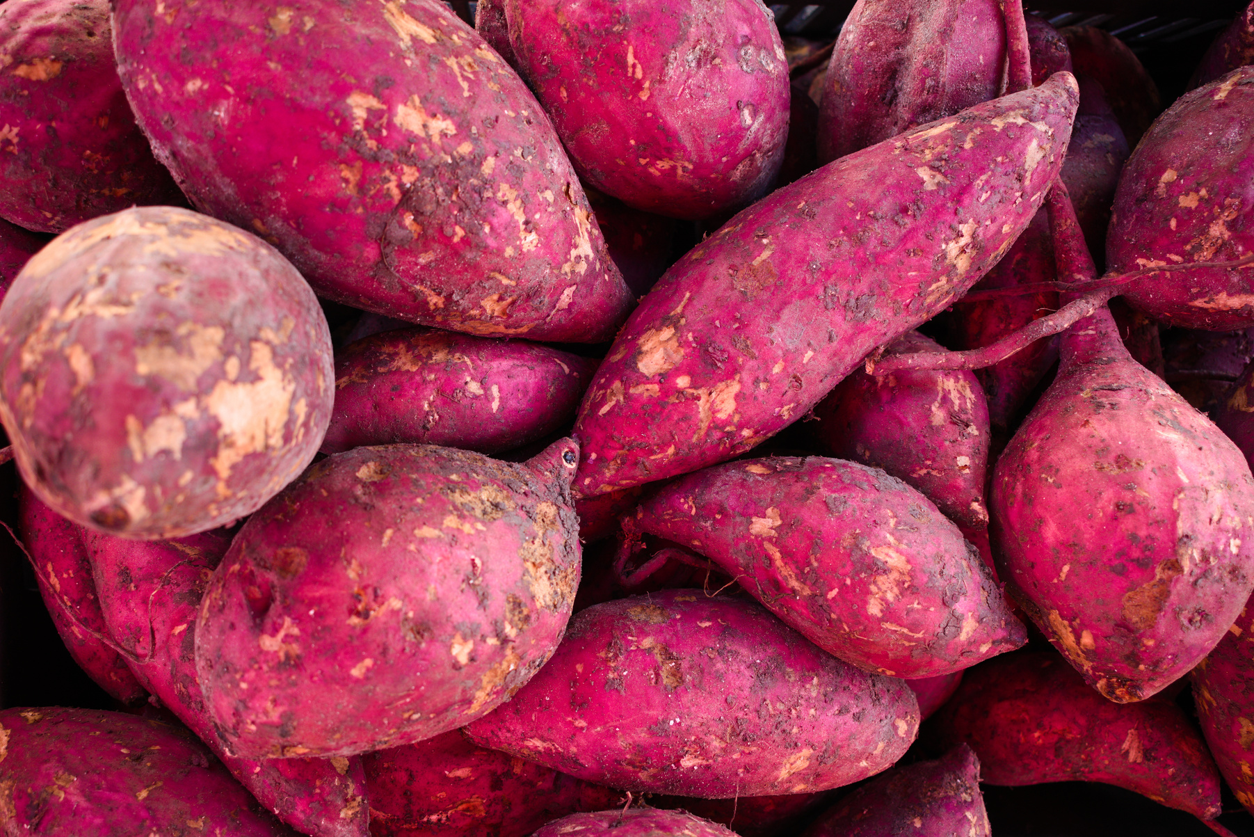 Photo of Sweet Potatoes 